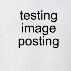39288203