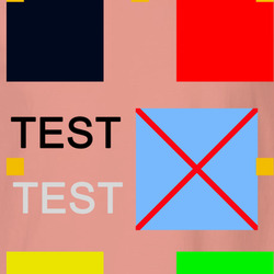 1717 jacket test T Shirt
